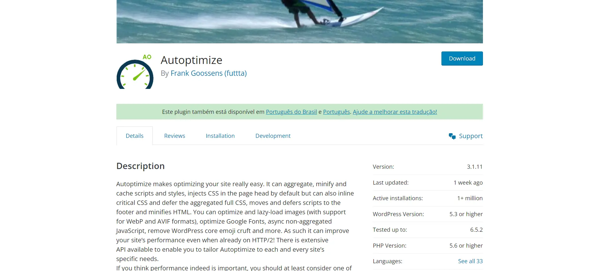 autoptimize review